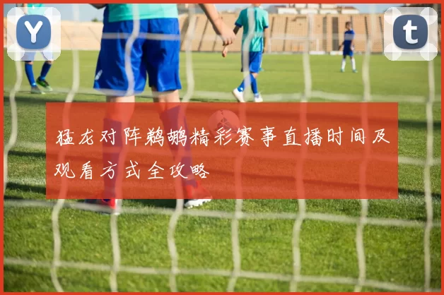 猛龙对阵鹈鹕精彩赛事直播时间及观看方式全攻略