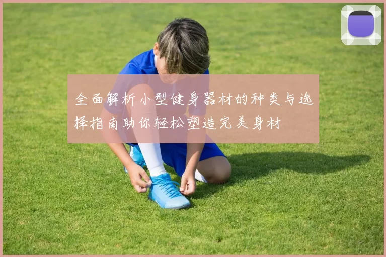 全面解析小型健身器材的种类与选择指南助你轻松塑造完美身材